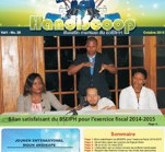 handiscoop22