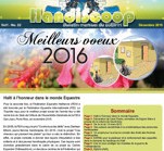 handiscoop24
